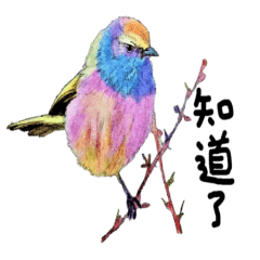 Bird Painting Language