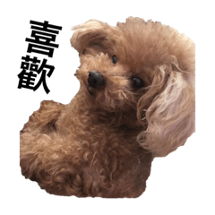 Coffee小泥貓__950603