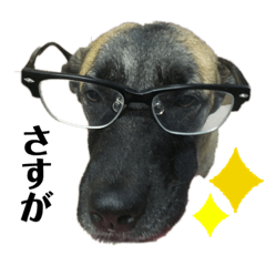 mari_202104111915046