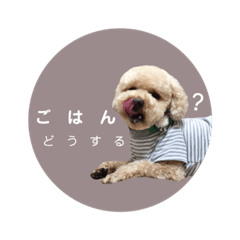 aoi_20210412093241