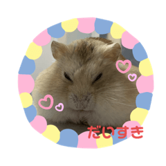 shizu_shimewo