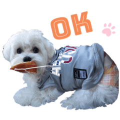 Sharon_20210411181550