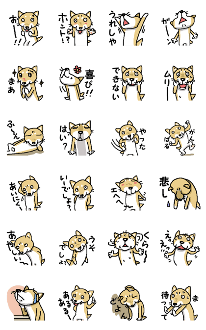 Mr. Shiba 10