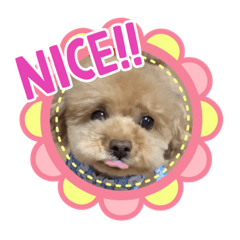 mimi_20210411191900