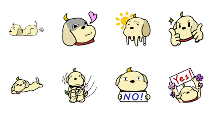 Labrador's Daily Life
