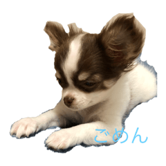 riho_20210412102939