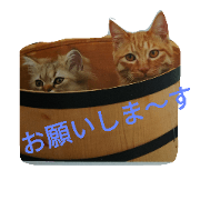 chartaro'&rao2