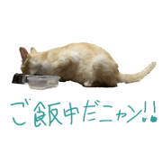 catmichan