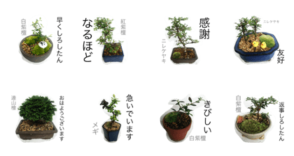 mini "BONSAI"stickers