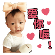 ZHUZHU Common articles