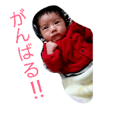 seiju-kun.stamps