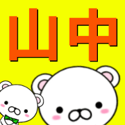 fcf bear part77