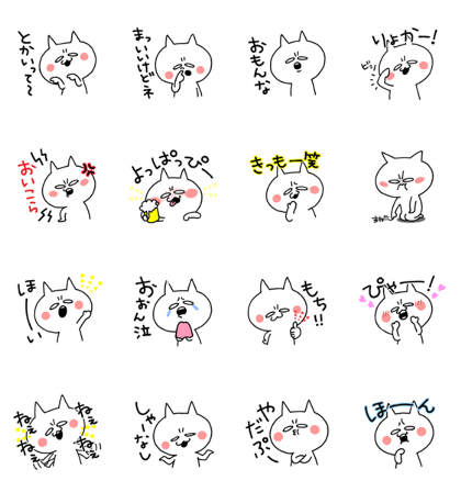 cat pp