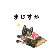 tortie