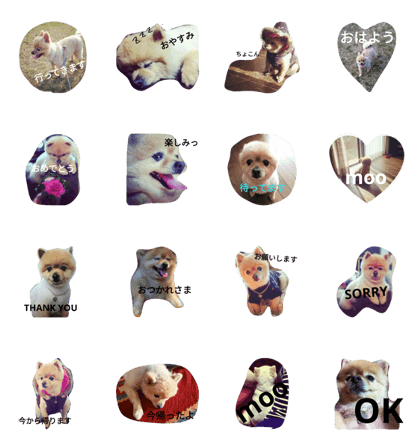moochan1