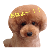 My Dog is Quuuchan