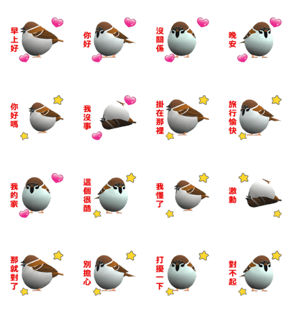 (In Chinene) CG Sparrow (2)