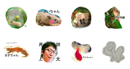 Mr.INOUE&his friends