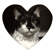 Cowshi