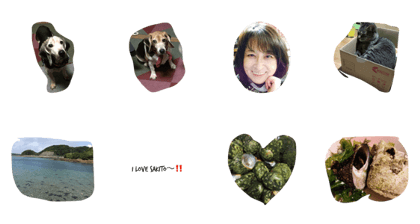 sakito