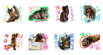 love Chibirin