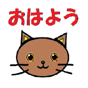 cats pretty