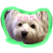 yomotan
