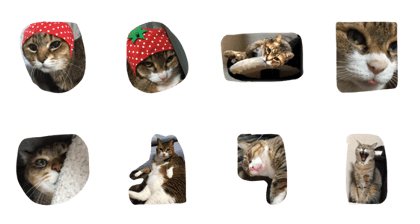 vivineko