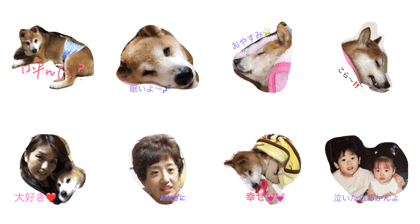 rosshi 1