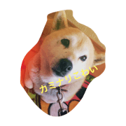 hayashimomo