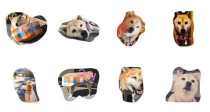 hayashimomo