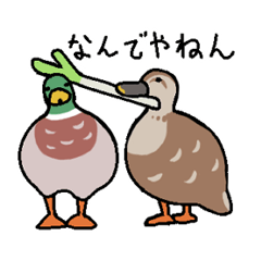 A little cute duck sticker