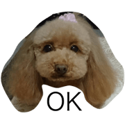 Ram raisin monchi  Quinaco