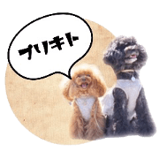 plie and kitri sticker