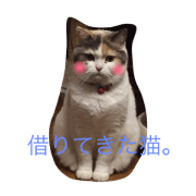 Patra
