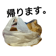 go to home cat