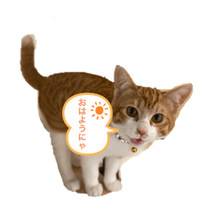 saori_20210412124058