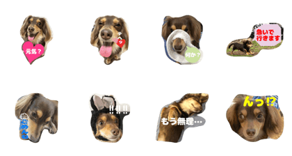 choco stamp2