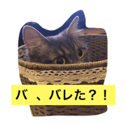 kawaiiyodachan