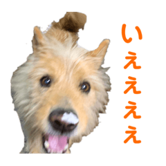 aoi_20210412132155