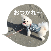 yukichiy