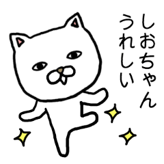 Shiochan cat