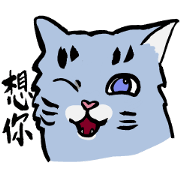 Mandarin Tabby