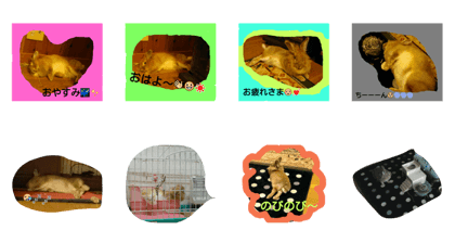 kawaii. usagorou