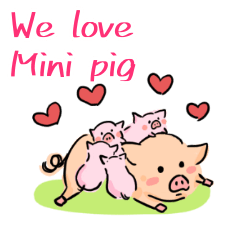 Cute mini pig sticker