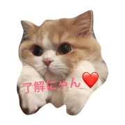 mugitan stanp