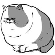Very heavy cat