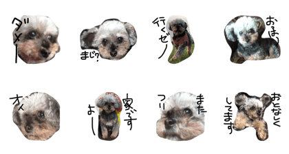 pkochan