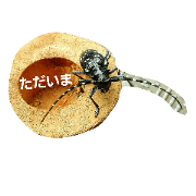 Longhorn beetles