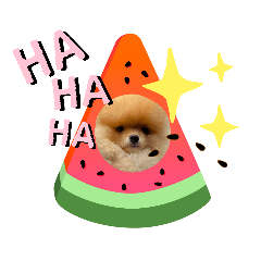 Thorton the POM2